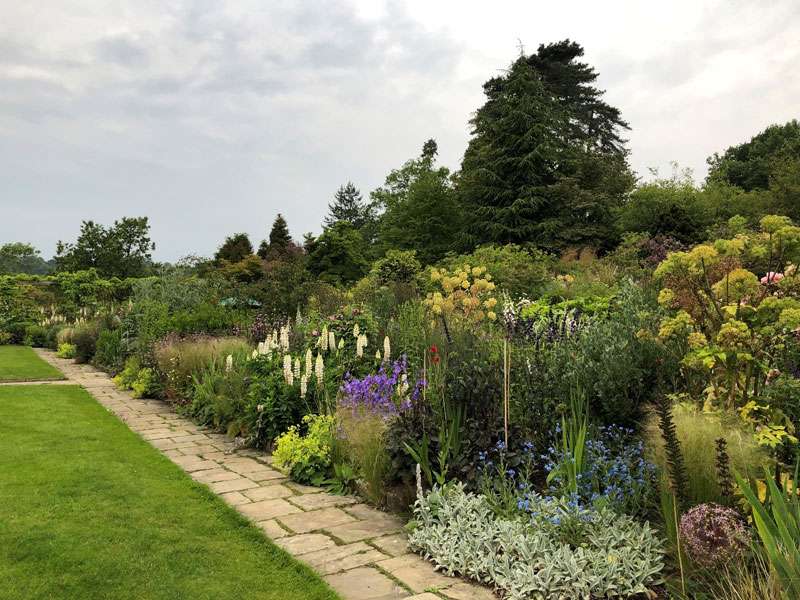 The variety of vibrant colours in the garden borders The variety of vibrant colours in the garden borders