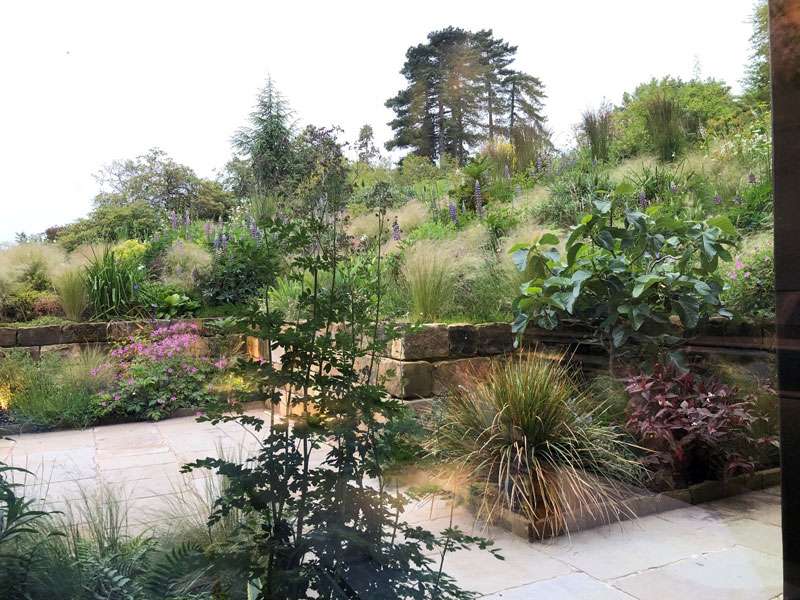 The view from our table into the garden The view from our table into the garden