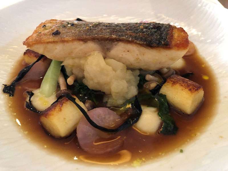 The line caught sea bass