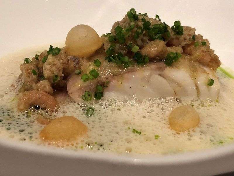 Wild sea bass
