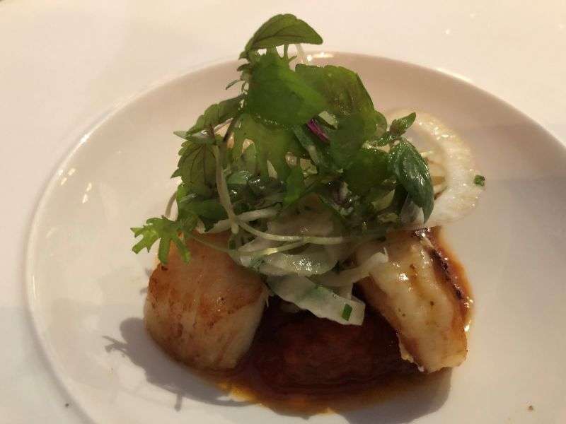 The starter of grilled north coast scallops The starter of grilled north coast scallops