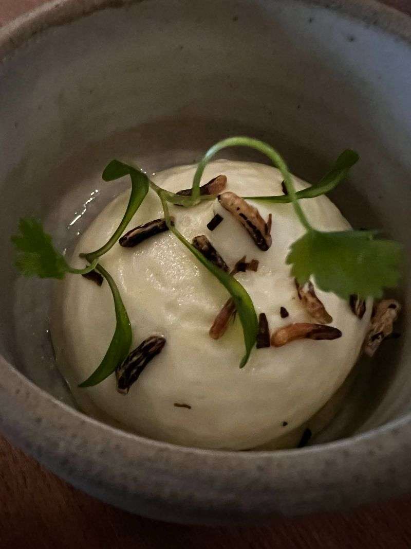 The “transition” course of Thai green curry