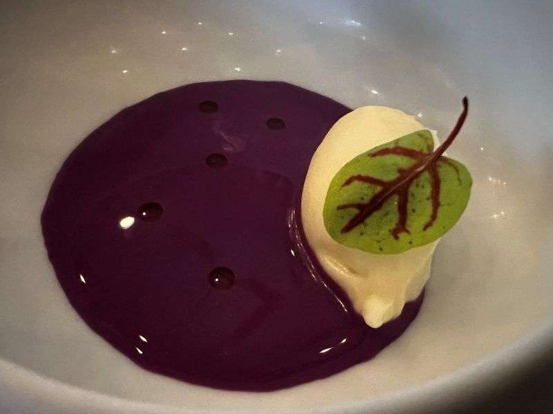 Amuse bouche of red cabbage gazpacho