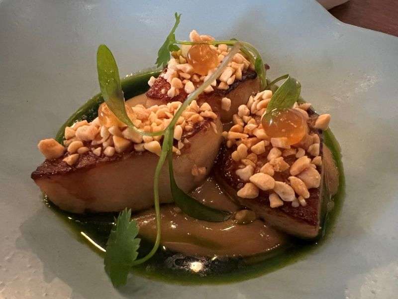 Orkney scallop