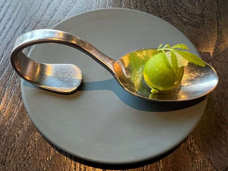 Palate cleanser - a sphere of cucumber sorbet Palate cleanser - a sphere of cucumber sorbet