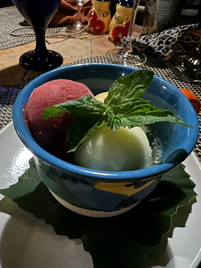 Dessert – selection of summer sorbets