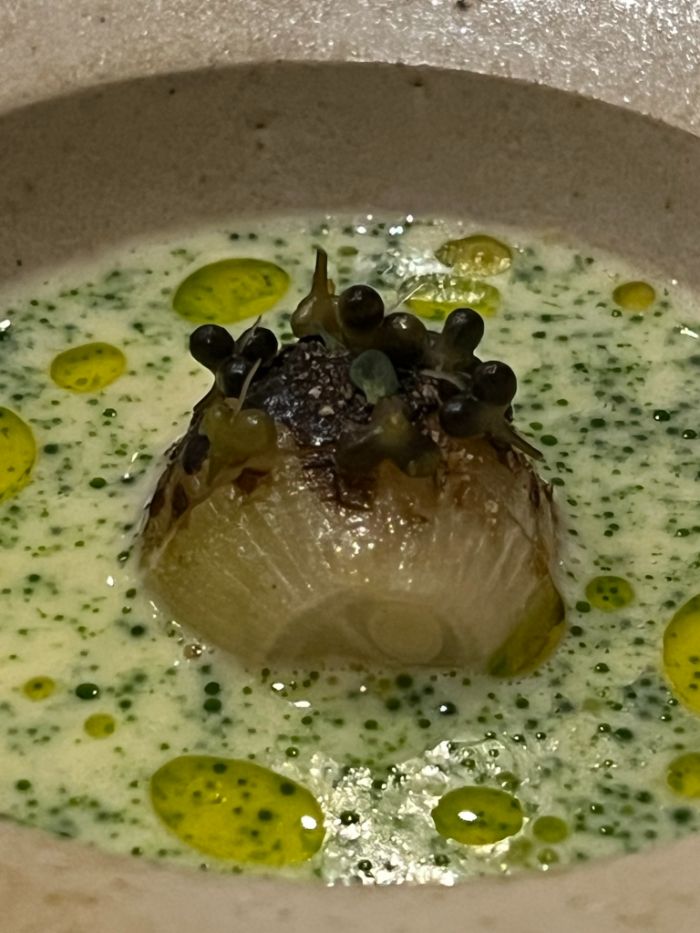 Senshyn onion Senshyn onion