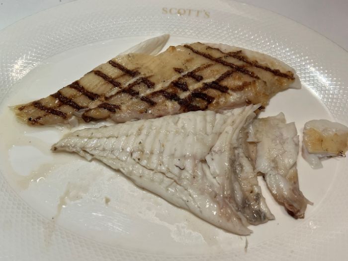 Main course of grilled turbot Main course of grilled turbot
