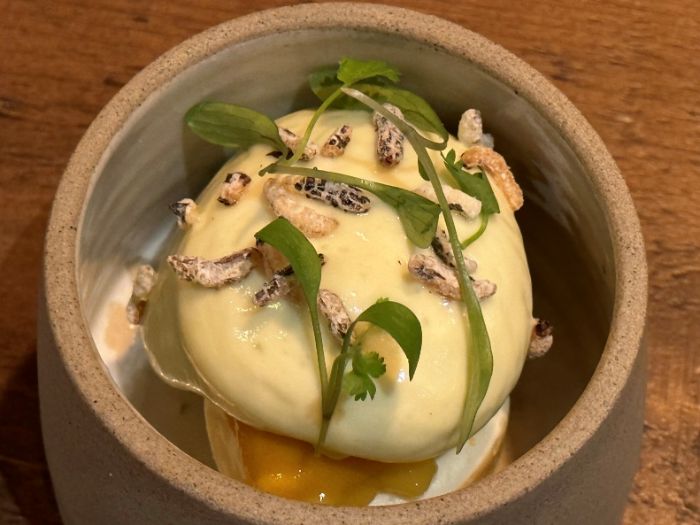 Transition course of Thai green curry