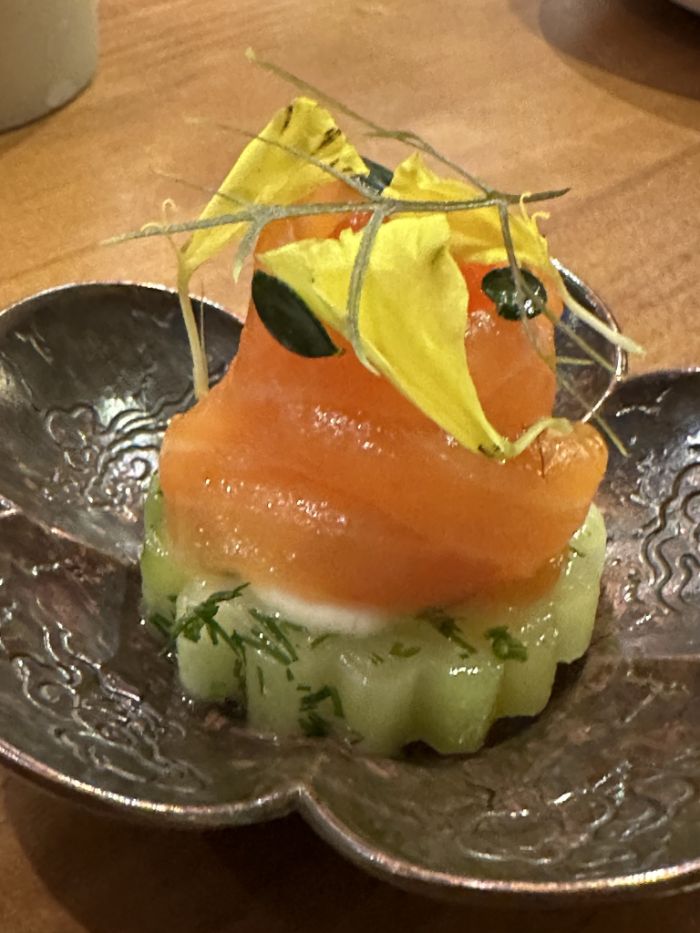 Wild trout