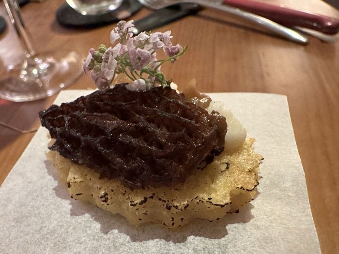 Morel mushroom