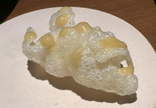 Shellfish and tapioca cracker served with the scallop Shellfish and tapioca cracker served with the scallop