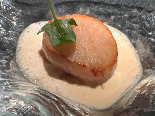 Hand dived scallop with potted shrimps Hand dived scallop with potted shrimps
