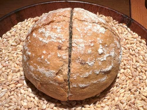 Last Wolf beer bread Last Wolf beer bread