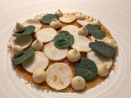 Alba white truffle, celeriac and egg yolk Alba white truffle, celeriac and egg yolk