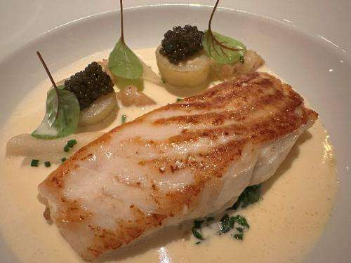Main course of fillet of turbot
