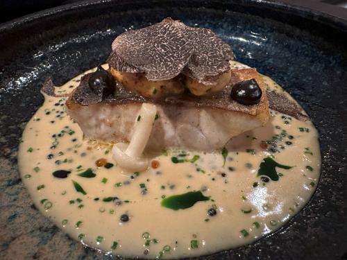 Cornish stone bass with black garlic