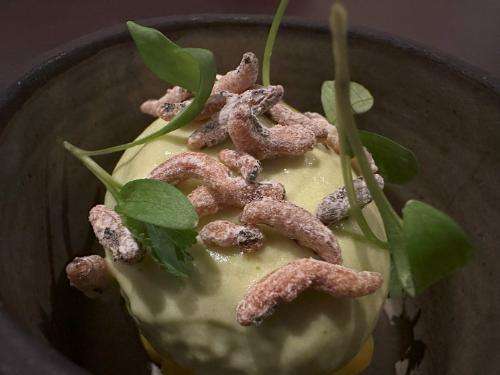 Thai green curry transition course