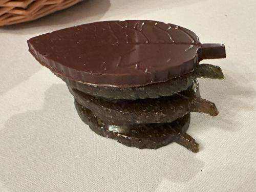 Dark chocolate bay leaf petit four Dark chocolate bay leaf petit four