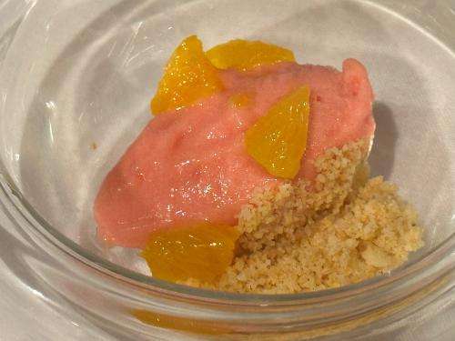 Rhubarb sorbet with an almond crumb