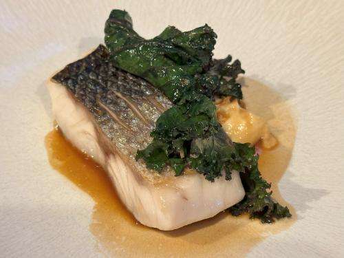 Grilled wild sea bass