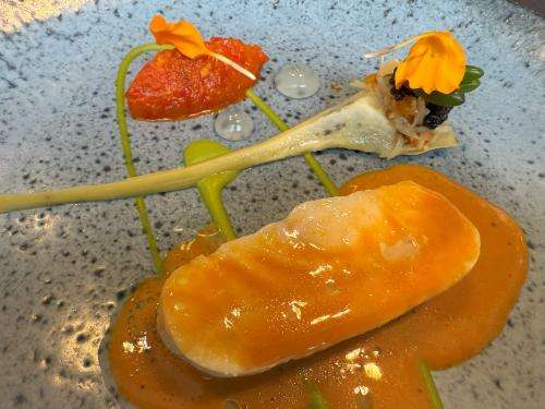 Wild turbot, artichoke, crab, olive