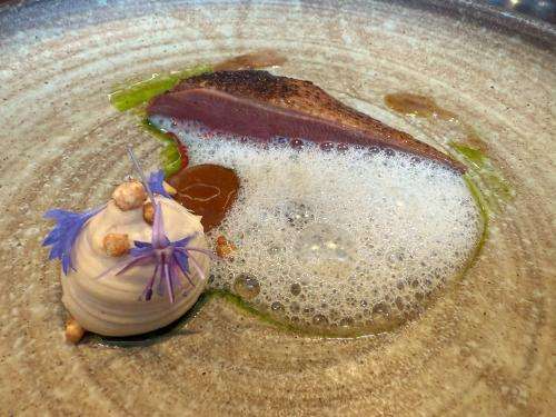 La Bresse squab pigeon