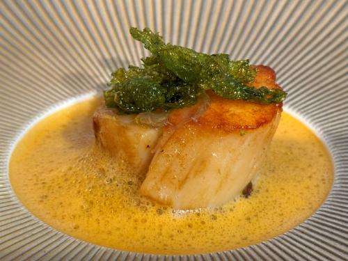 Hand dived Orkney scallop “BLT”