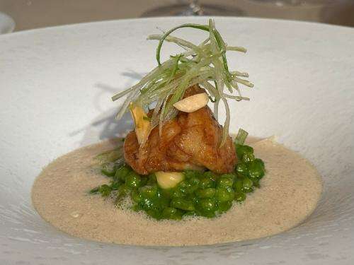Veal sweetbread