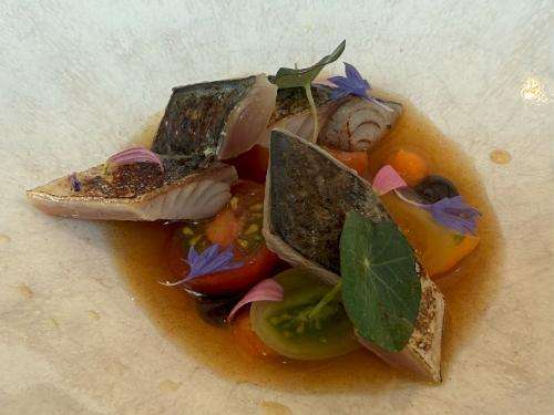 Mackerel Mackerel