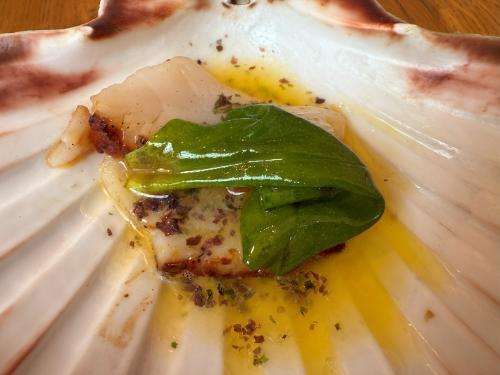 Scallop with Bordier seaweed butter, and oyster leaf Scallop with Bordier seaweed butter, and oyster leaf