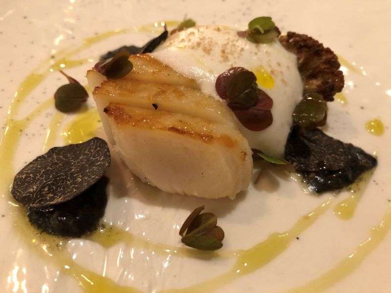 Grilled Scottish scallop