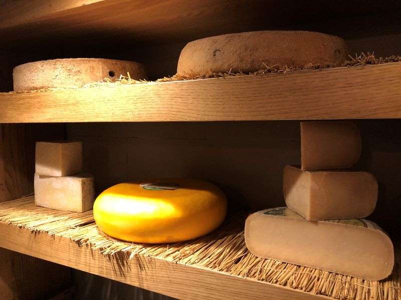 Truckles of cheese