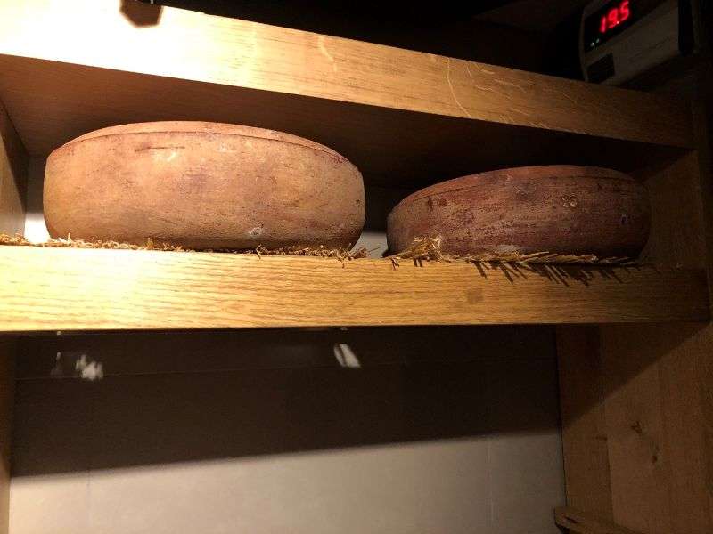 All the cheese is kept at the perfect temperature and humidity