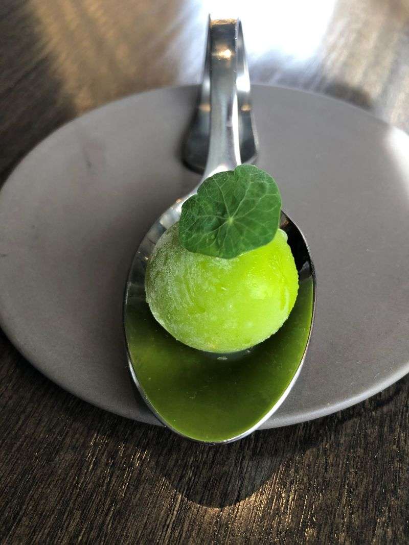 Cucumber sorbet, cucumber butter and nasturtium leaf