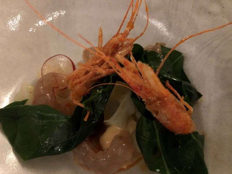 Marinated Mylor prawns, kohlrabi and seaweed