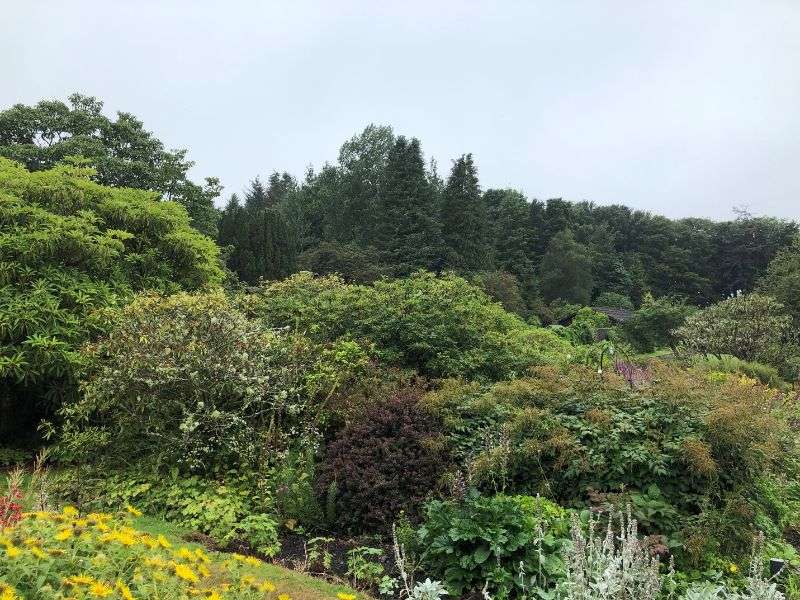The magnificent gardens at Glenapp Castle The magnificent gardens at Glenapp Castle