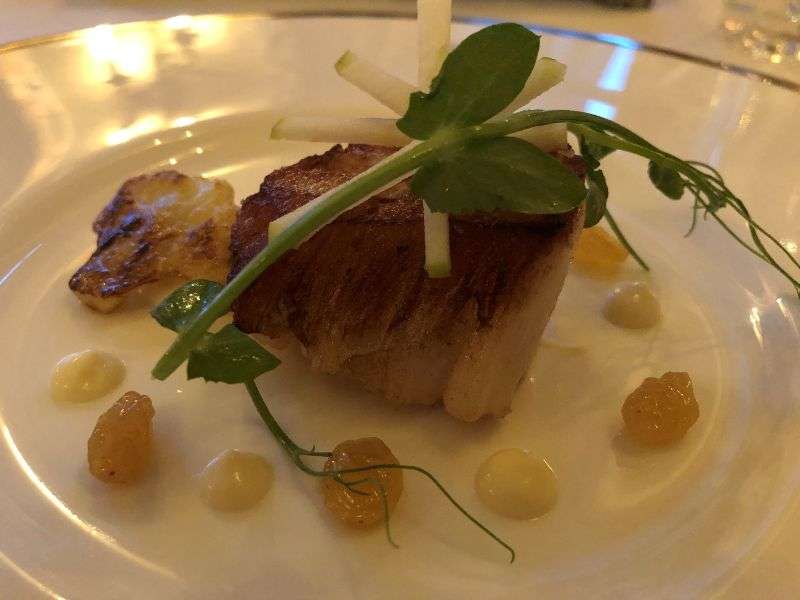 Pan fried Orkney Bay scallop Pan fried Orkney Bay scallop