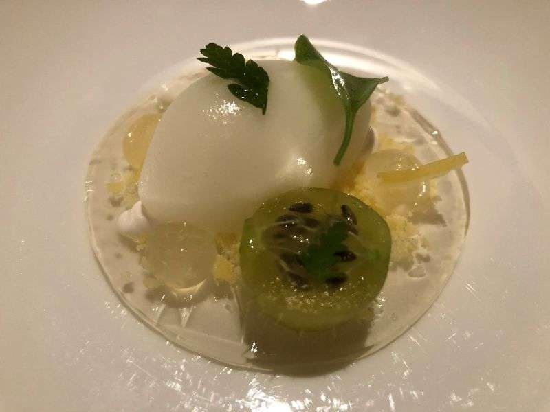 Pre-dessert of elderflower, lemon, yoghurt and gooseberry Pre-dessert of elderflower, lemon, yoghurt and gooseberry