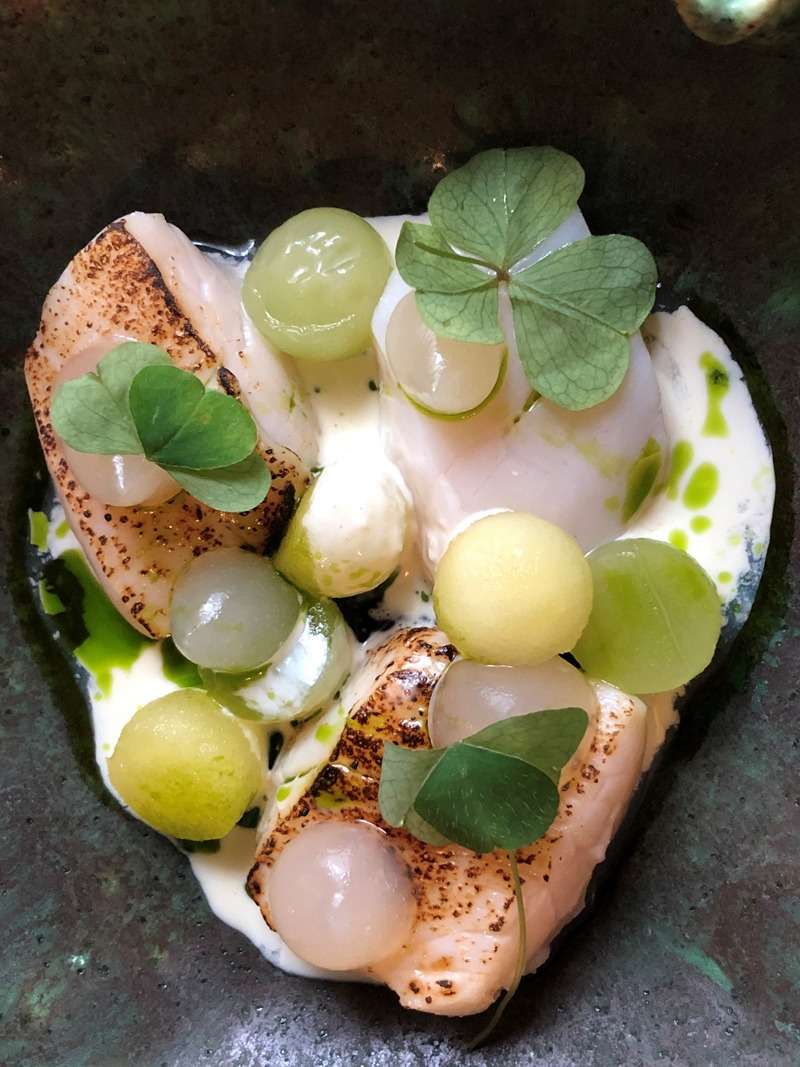 Starter of cured and torched scallop