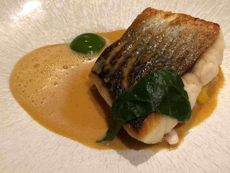 Wild sea bass