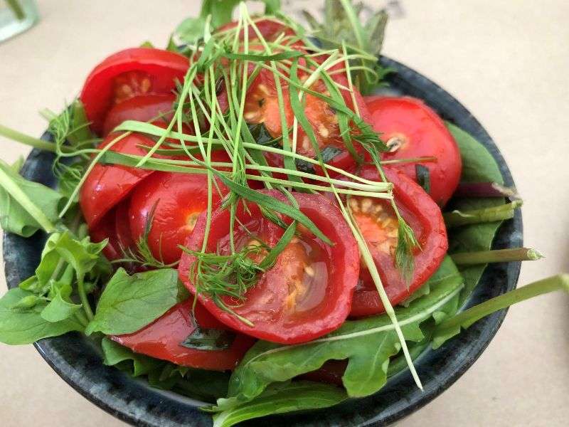 Very fresh tomato and tarragon salad
