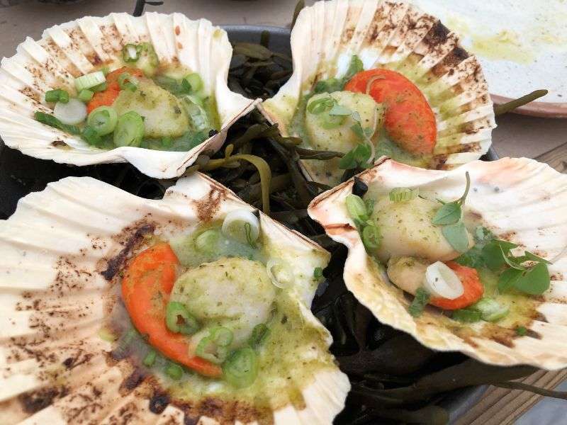 Scallops, Thai marinade, Thai basil