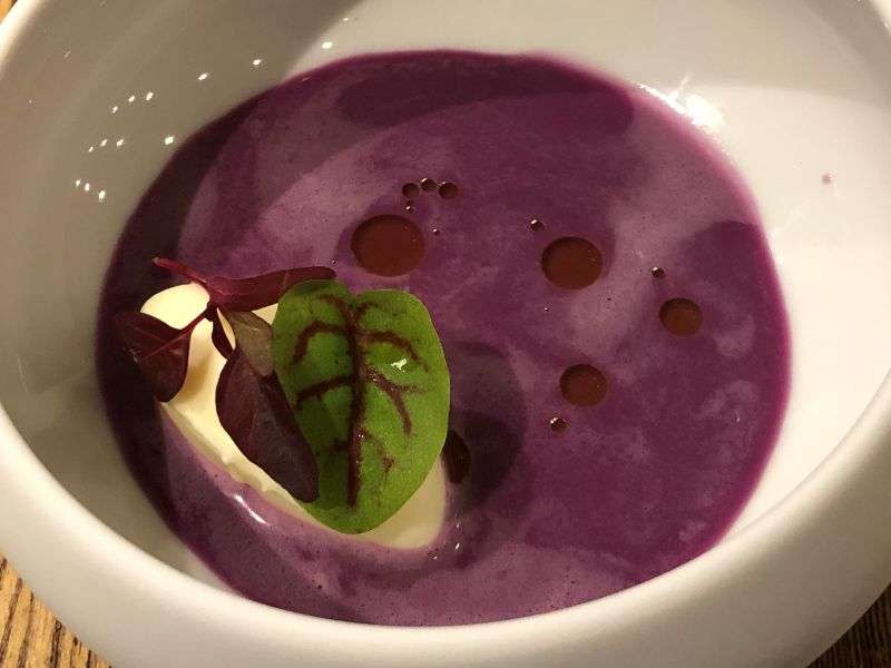 Amuse bouche of red cabbage gazpacho