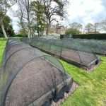 The Gastronome Restaurant Reviews - Morston Hall, Morston Hall Hotel, The Street, Morston, Holt NR25 7AA