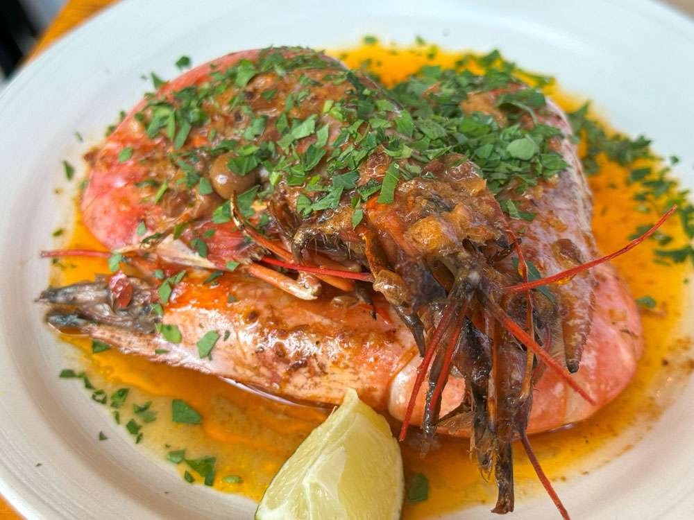 The Gastronome Restaurant Reviews - Prawn on the Lawn, 11 Duke Street, Padstow, Cornwall, PL28 8AB